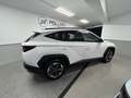 Hyundai TUCSON Tucson III 2024 1.6 t-gdi 48V Business 2wd mt Bianco - thumbnail 4