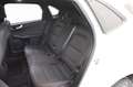 Ford Kuga 2.5 phev ST-Line 2wd 225cv CAMBIO AUTO,NAVI,FULL Bianco - thumbnail 11
