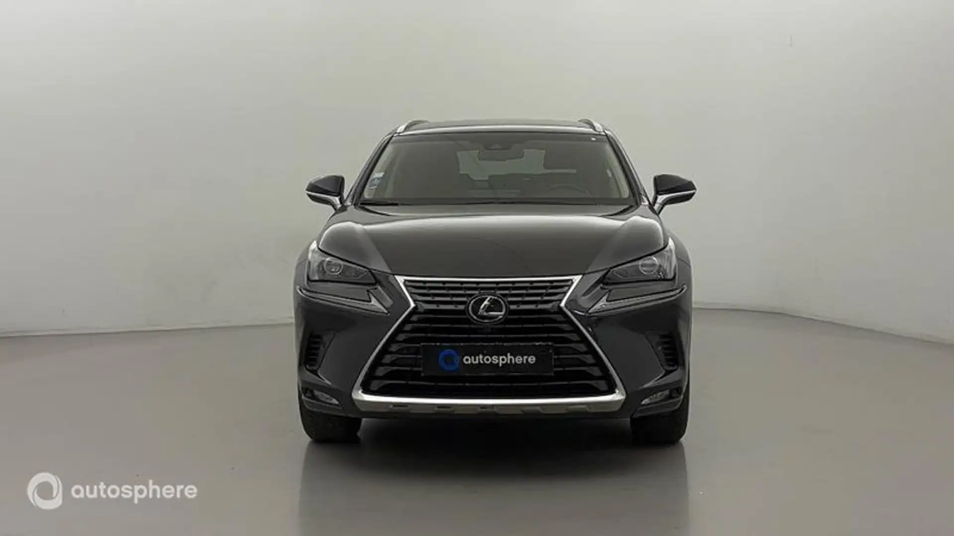 Lexus NX 300h 300h 4WD Luxe  MY20 - 2