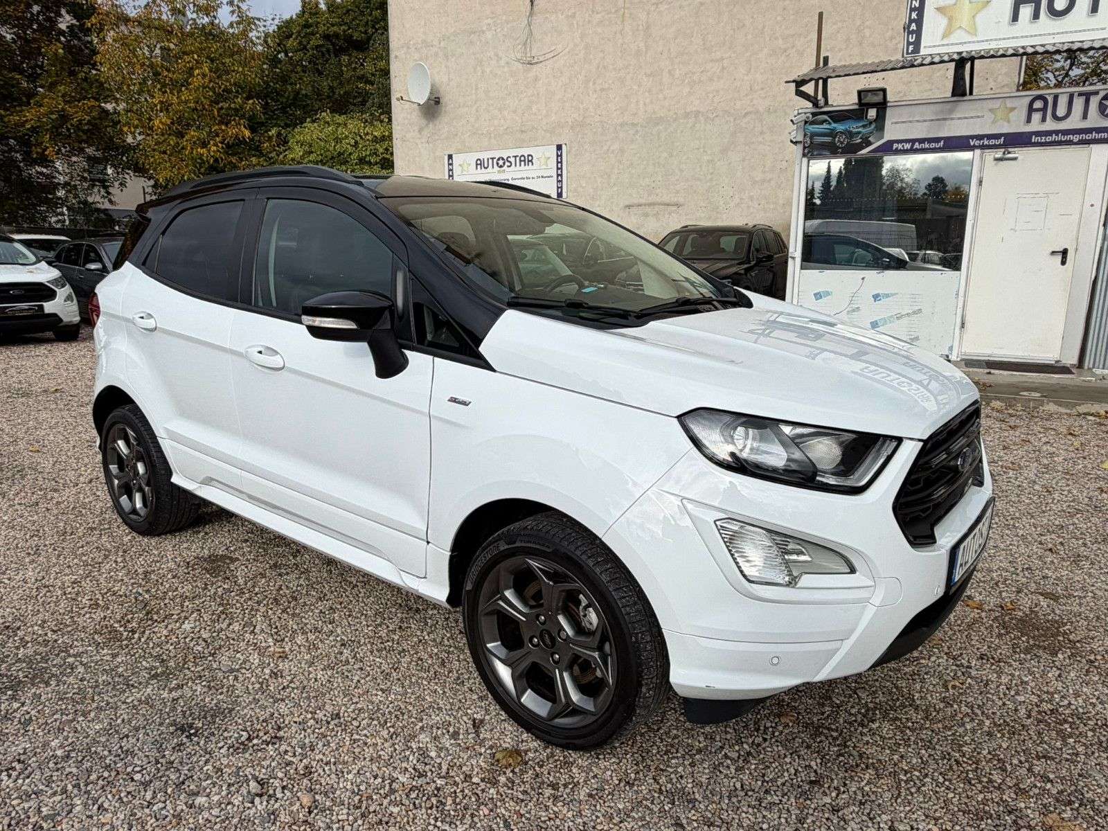 Brugt Ford Ecosport 1.0