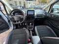 Ford EcoSport 1,0 EcoBoost 92kW ST-Line*R-Cam*Top Blanc - thumbnail 13