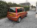 Fiat Panda 1.1 Active | Stuurbekrachtiging | Radio / CD | APK Orange - thumbnail 3