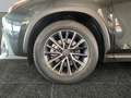 Lexus NX 350h Executive *MEMORY*CARPLAY*NAVI* Gri - thumbnail 15