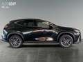 Lexus NX 350h Executive *MEMORY*CARPLAY*NAVI* Gri - thumbnail 7