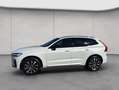 Volvo XC60 XC60 B4 AWD Plus-Dark Aut Leder BLIS PilotAssist Weiß - thumbnail 2