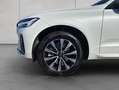 Volvo XC60 XC60 B4 AWD Plus-Dark Aut Leder BLIS PilotAssist Weiß - thumbnail 16