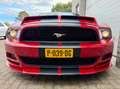 Ford Mustang USA 3.7 V6, leder, xenon, 19 inch, 85.939KM!!! Rouge - thumbnail 20