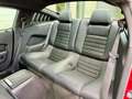 Ford Mustang USA 3.7 V6, leder, xenon, 19 inch, 85.939KM!!! Rouge - thumbnail 8