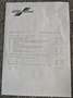 Volkswagen Taigo Taigo 1.0 tsi R-Line Plus 115cv dsg Gris - thumbnail 23