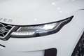 Land Rover Range Rover Evoque 2.0D I4 MHEV SE AWD Aut. 163 Blanco - thumbnail 10