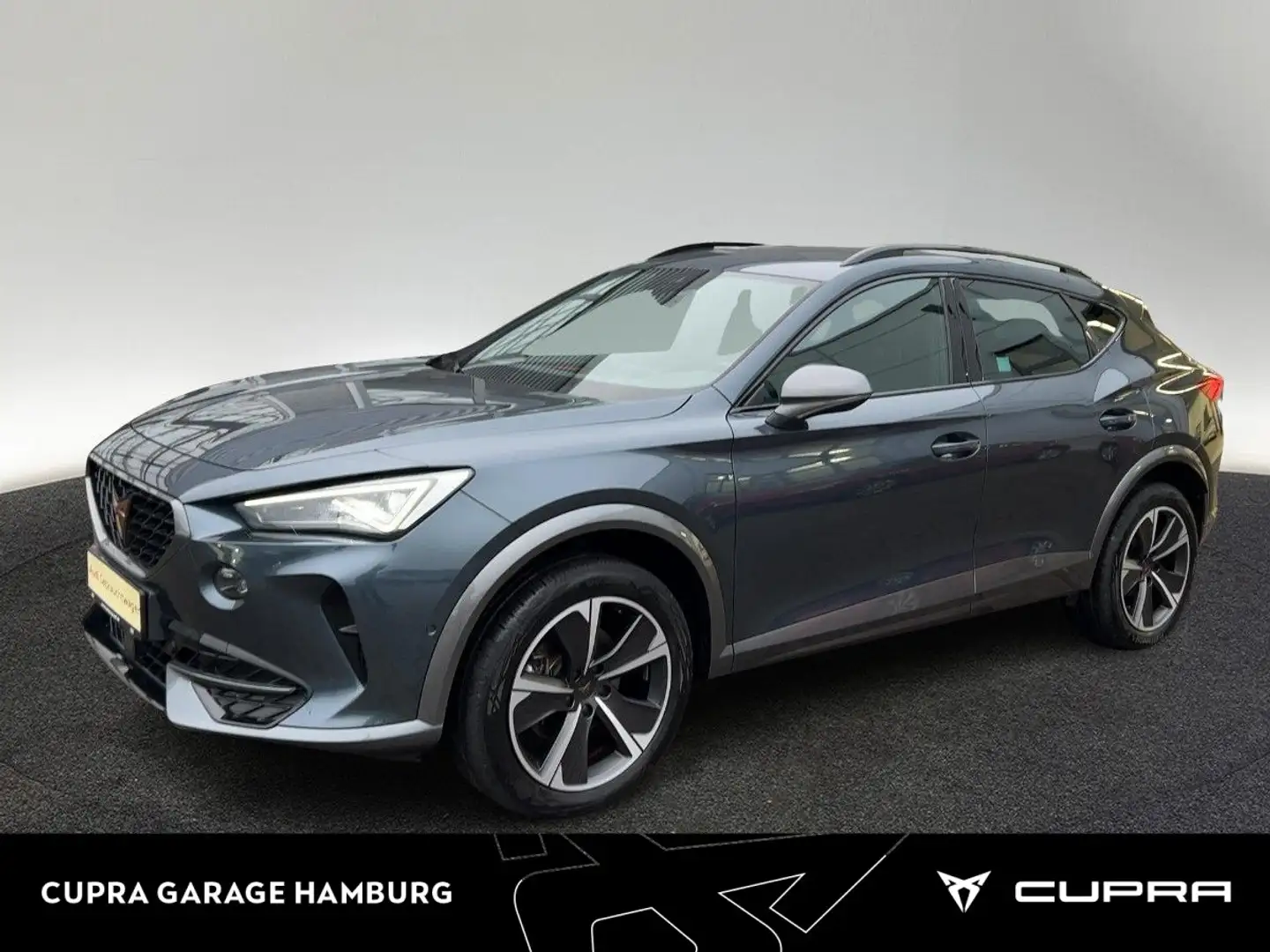 CUPRA Formentor 1,5 TSI DSG Matrix Navi Kamera Grau - 1