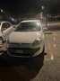 Fiat Punto Evo 3p 1.4 Active Gpl 77cv - thumbnail 2