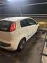 Fiat Punto Evo 3p 1.4 Active Gpl 77cv - thumbnail 1