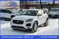 Jaguar E-Pace 2.0DI4 D180 S AWD Aut. LED PDC Kamera Sitz&Lenk... Blanc - thumbnail 1