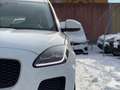 Jaguar E-Pace 2.0DI4 D180 S AWD Aut. LED PDC Kamera Sitz&Lenk... Blanc - thumbnail 29
