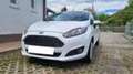 Ford Fiesta 1.4 3p. Bz.- GPL Titanium Bianco - thumbnail 4
