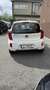 Kia Picanto 1,0 MPI Caritas - thumbnail 6