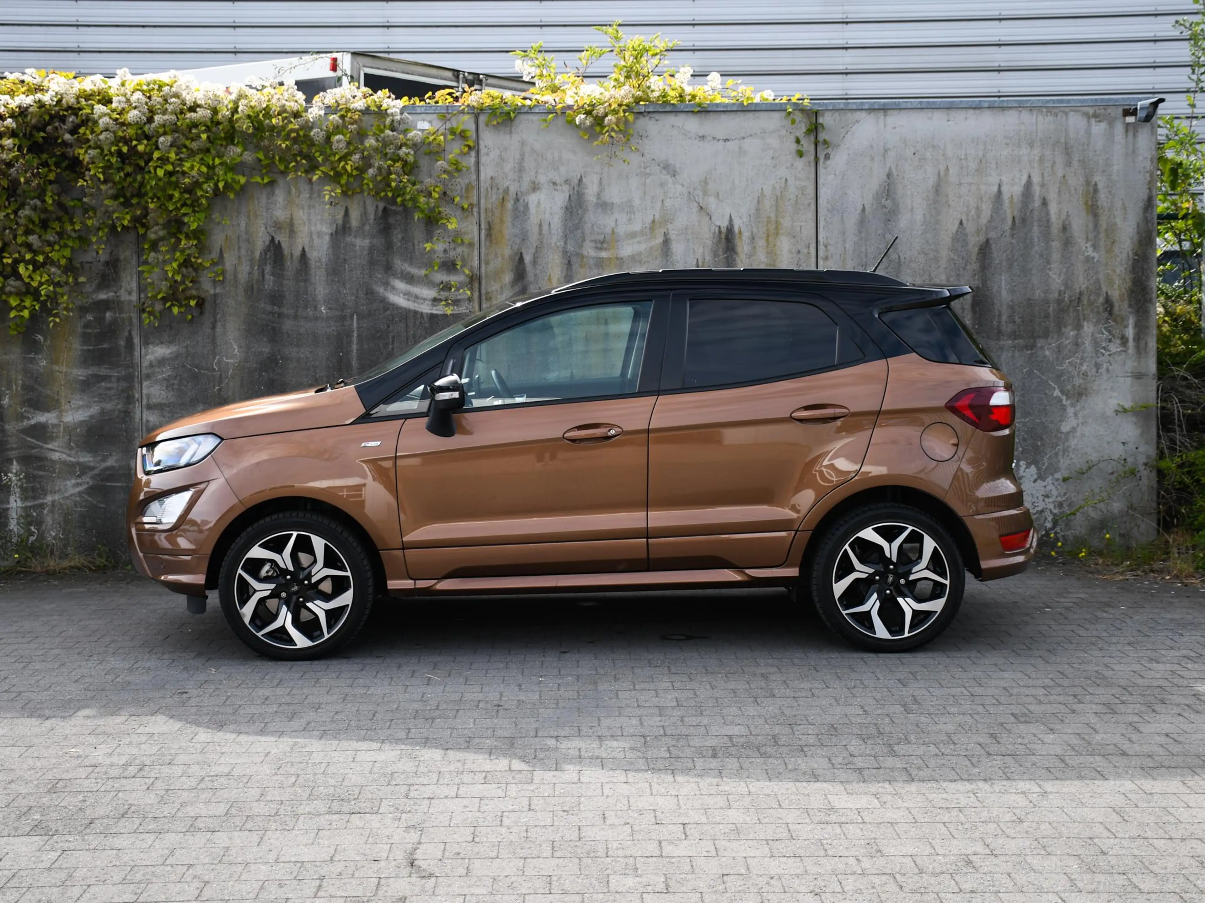 Ford EcoSport ST-Line 1.0 EcoBoost 125pk WINTER-PACK | B&O | DOD — photo 3