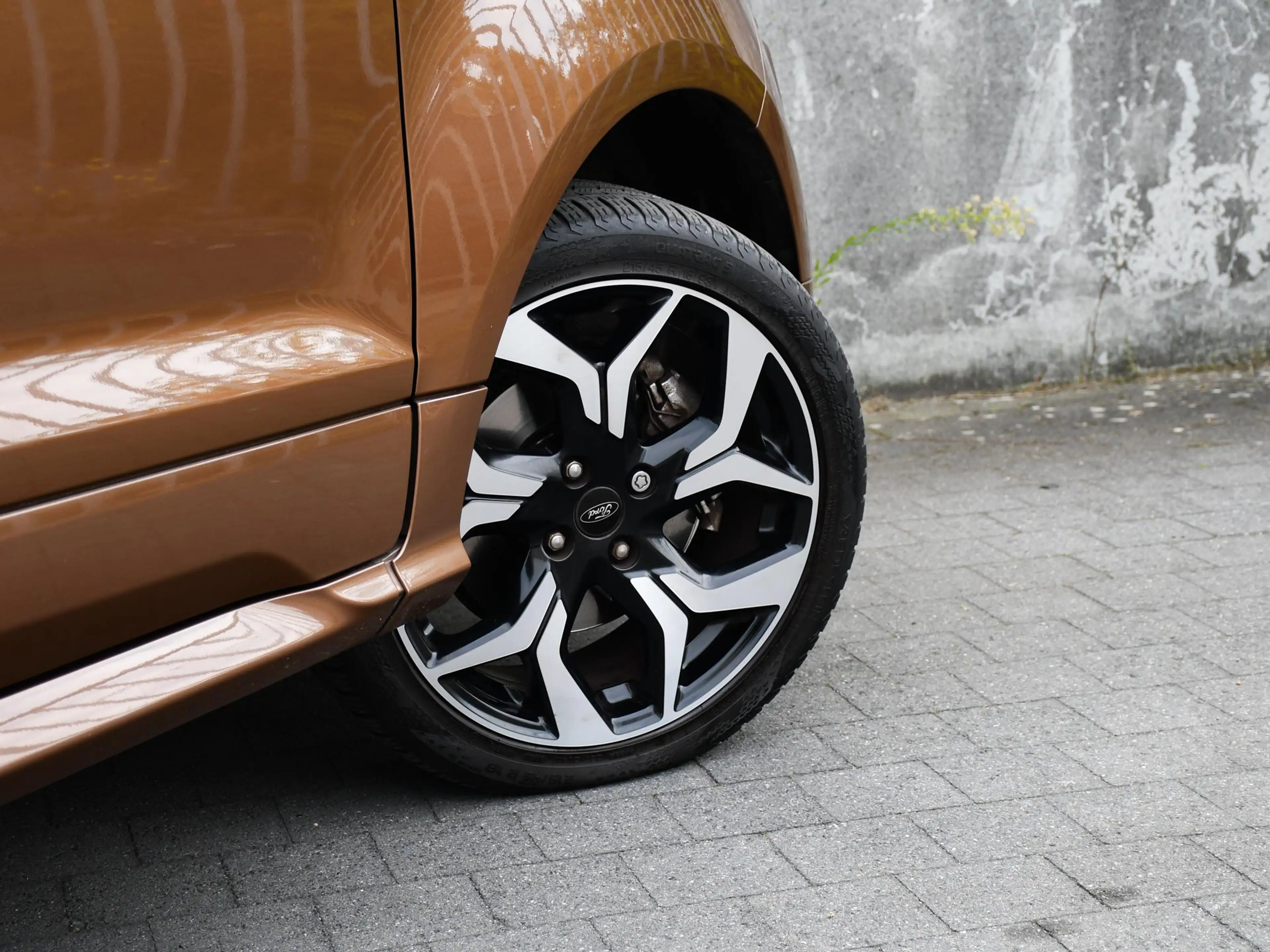 Ford EcoSport ST-Line 1.0 EcoBoost 125pk WINTER-PACK | B&O | DOD — photo 7