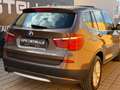 BMW X3 xDrive 30d / Pano / Kamera Braun - thumbnail 42