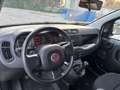 Fiat Panda Panda 1.0 firefly hybrid van n1 autocarro 2 posti - thumbnail 4
