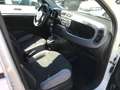 Fiat Panda Panda 1.0 firefly hybrid van n1 autocarro 2 posti - thumbnail 4