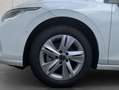 Volkswagen Golf Variant Variant 1.5 TSI Life ACC Area View Navi Hea Blanc - thumbnail 24