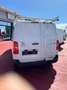 Toyota Proace 1.5D 120CV S&S FURGONE L1 6M ACTIVE MY23 Bianco - thumbnail 6