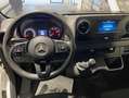 Mercedes-Benz Sprinter 311 CDI Compacto 110cv Bianco - thumbnail 11
