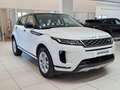 Land Rover Range Rover Evoque Range Rover Evoque 2.0d i4 mhev SE awd 163cv auto Bianco - thumbnail 13