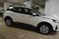 Peugeot 3008 CONFORT DYNAMIQUE Blanco - thumbnail 14