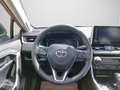 Toyota RAV 4 RAV 2.5 HSD 4WD VIP/TOKYO RED MET Rot - thumbnail 12