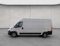 Toyota Proace Max 2.2-l-D 35 L3H2 Meister Reaglausbau Blanc - thumbnail 2
