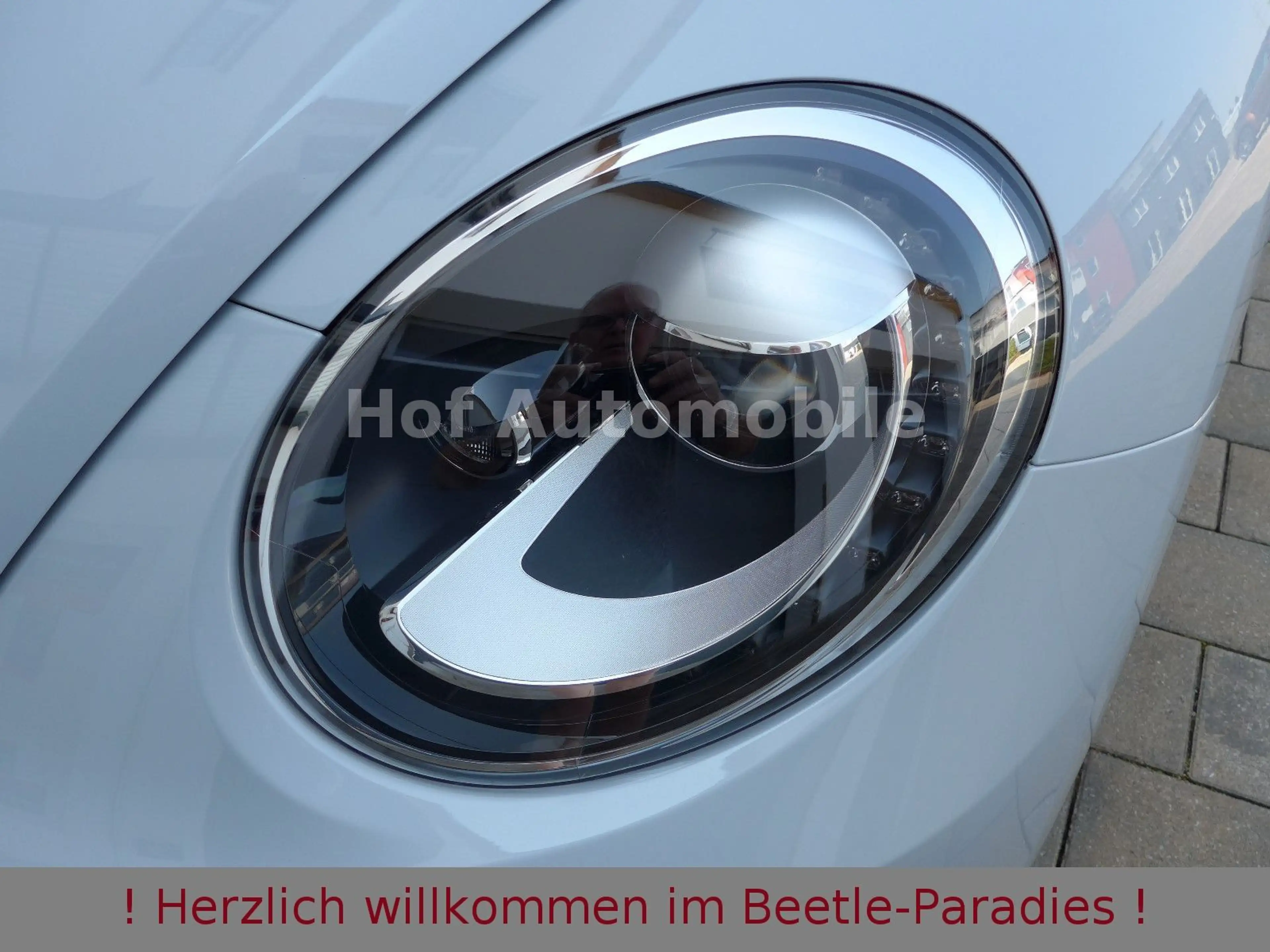 Volkswagen Beetle 1.2TSI Allstar-Plus Xenon Leder DAB AppC — photo 13