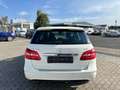 Mercedes-Benz B 200 B 200 CDI Edition 1*Navi*Cam*Xenon*Spur-HA*TWA Weiß - thumbnail 6