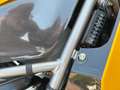 Ducati 998 Jaune - thumbnail 6