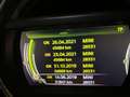 MINI Cooper Cooper Seven Chili*PANO*LEDER*LED Blauw - thumbnail 12