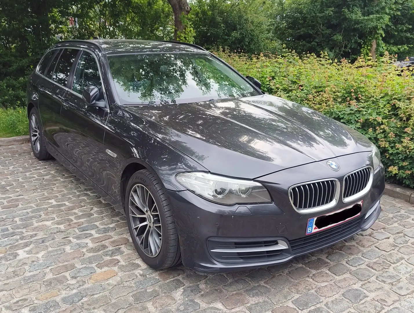 BMW 518 518d Touring Luxury Line Šedá - 1