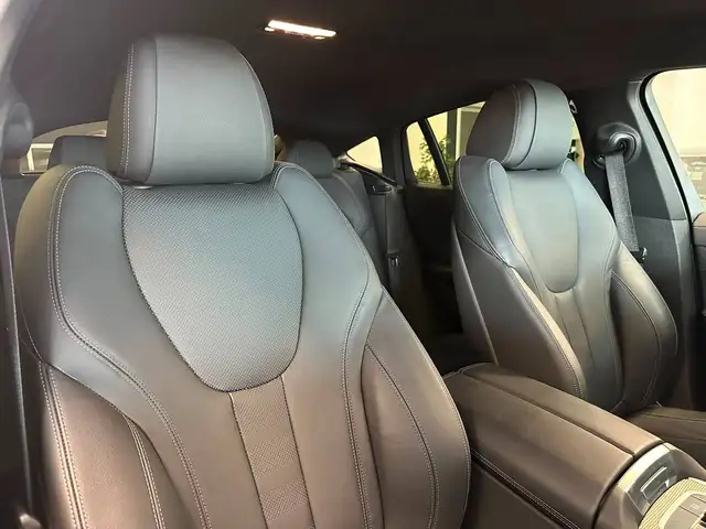 BMW X6 view 14