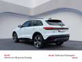 Audi Q5 SUV TDI quattro S line MEMORY+HuD+MATRIX Weiß - thumbnail 3