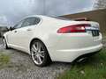 Jaguar XF 2.7d Luxury !!! Moteur cassé !!! Blanc - thumbnail 5