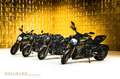 Ducati Diavel 1260 Lamborghini + No. 297 of 630 + Groen - thumbnail 30