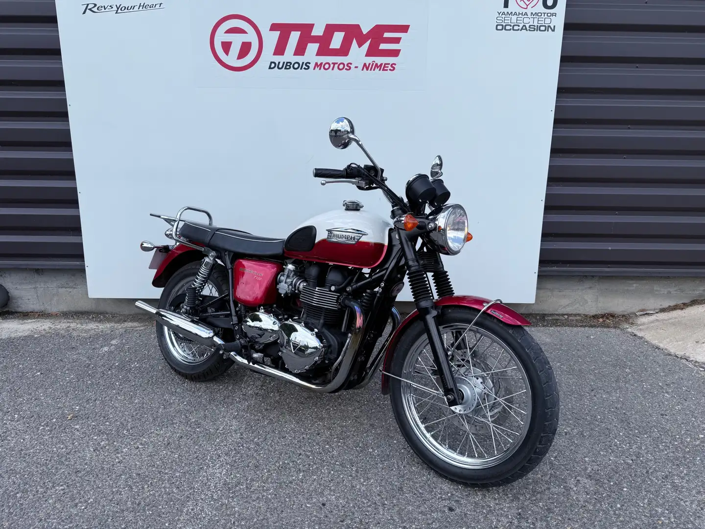 Triumph Rouge - 2