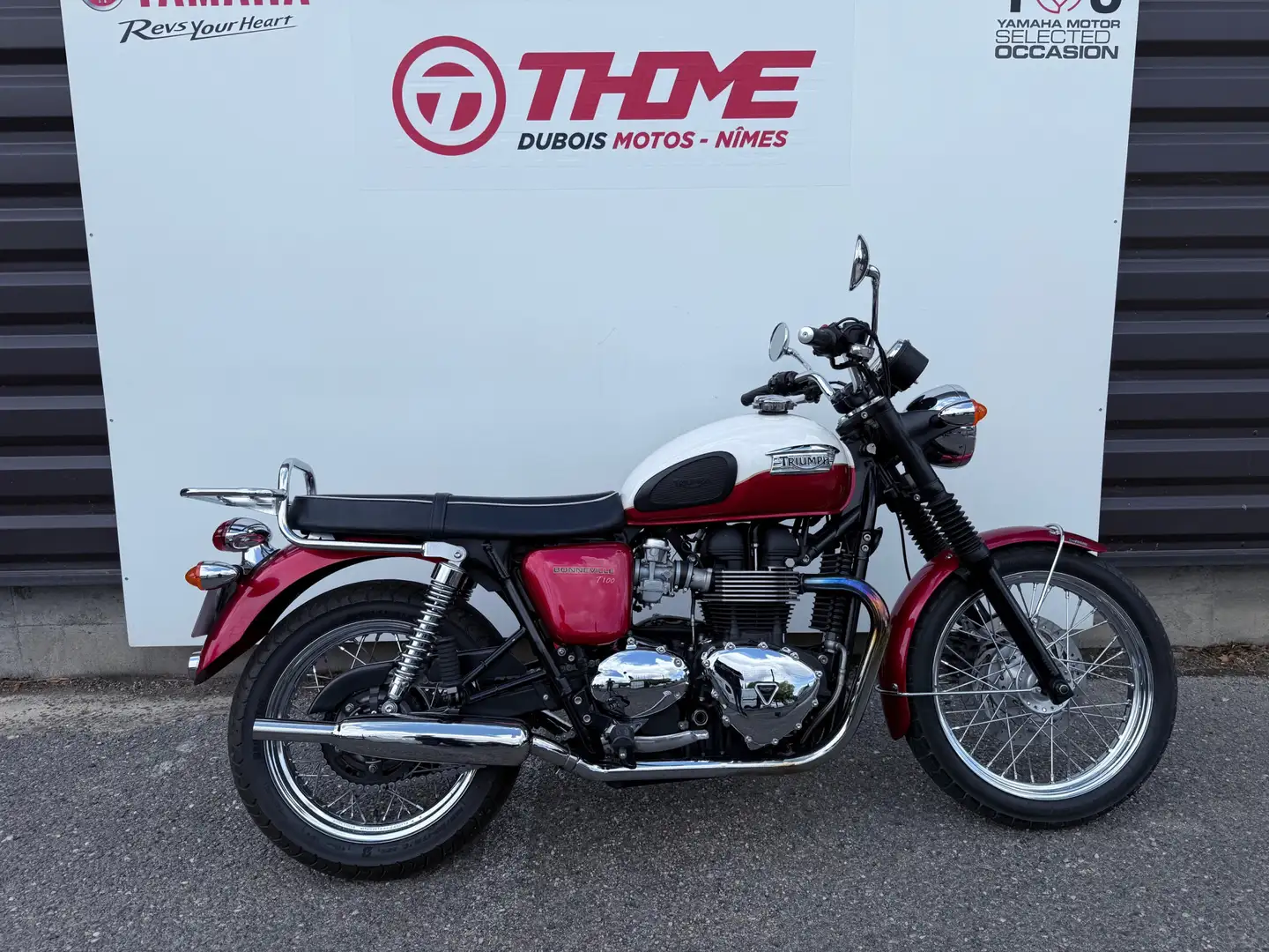 Triumph Rouge - 1