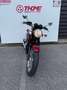 Triumph Rouge - thumbnail 3