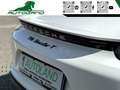 Porsche 718 Spyder 2.0 T Pure White PASM Superbollo 09/27 300CV Blanc - thumbnail 21