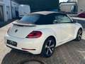 Volkswagen Beetle Cabriolet 1.2 TSI SOUND|XENON|FENDER|KAME Weiß - thumbnail 5