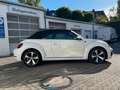 Volkswagen Beetle Cabriolet 1.2 TSI SOUND|XENON|FENDER|KAME Weiß - thumbnail 4