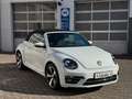 Volkswagen Beetle Cabriolet 1.2 TSI SOUND|XENON|FENDER|KAME Weiß - thumbnail 3