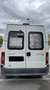 Citroen Jumper Bus 1,9 TD Weiß - thumbnail 2